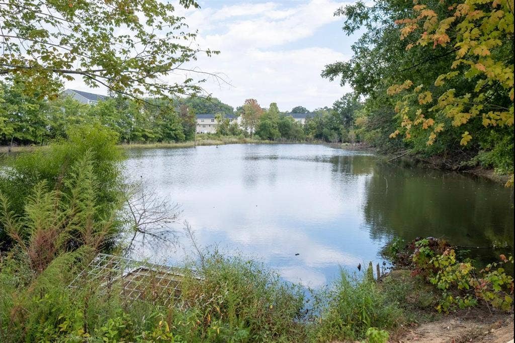 6 BR in Charlotte