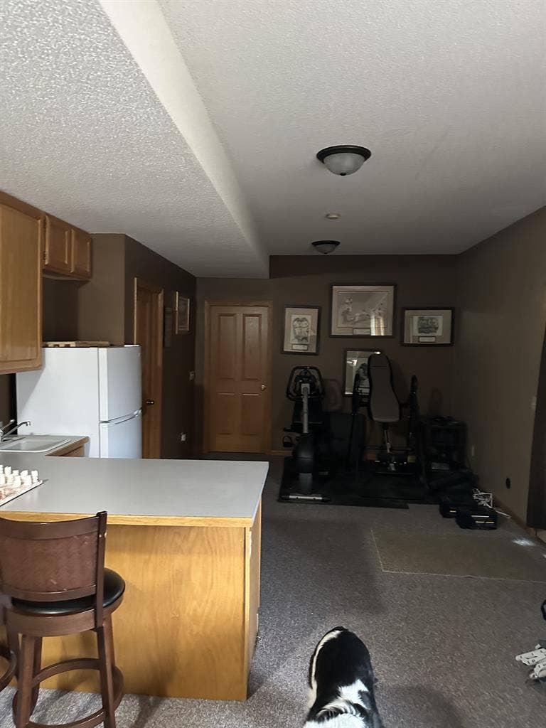 Basement apartment in savage