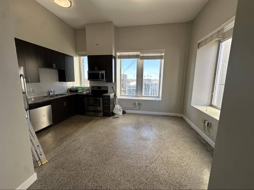 Seeking RM for Luxury apt downtown
