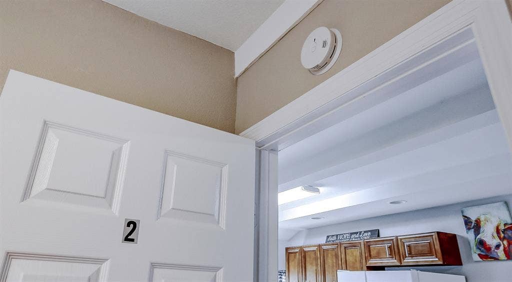 7 BR in Tampa