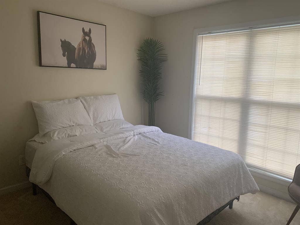 2 BR in Rex