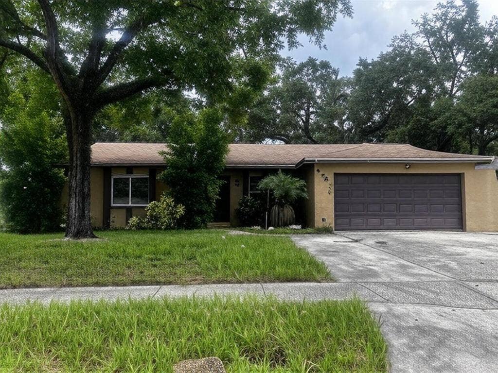 8 BR in Seffner
