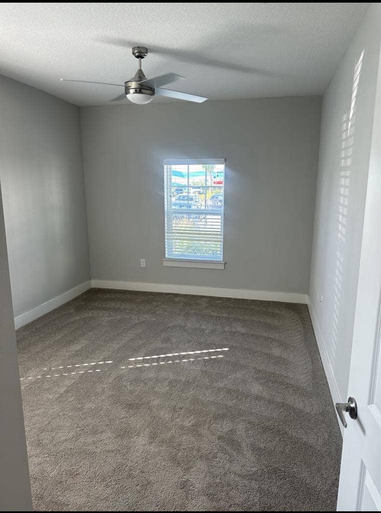 Looking for a roommate