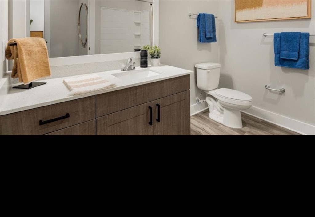 Looking for a roommate