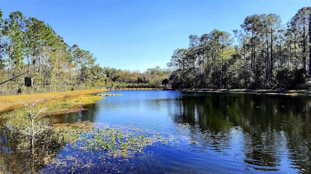 6 BR in Jacksonville