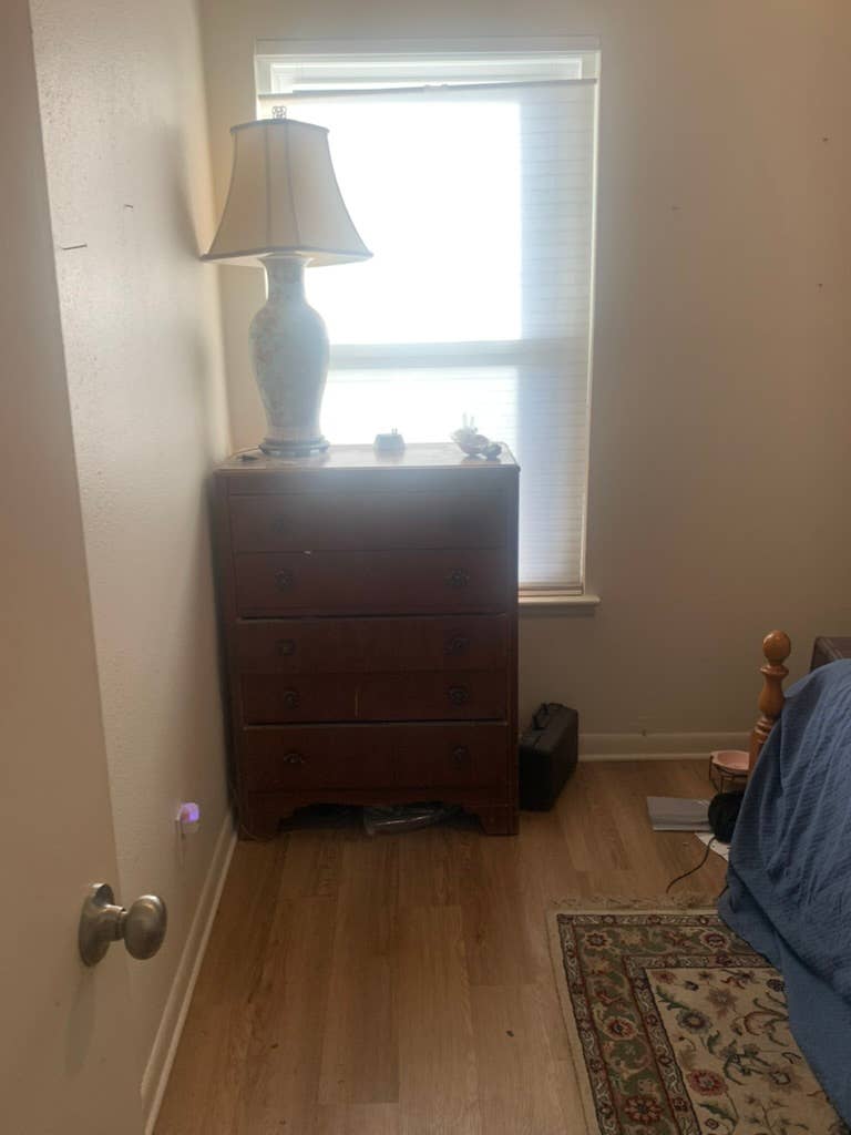 50ish lawyer seeks chill roommate