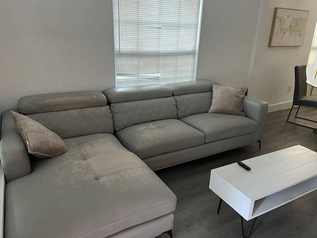 4 BR in Tampa
