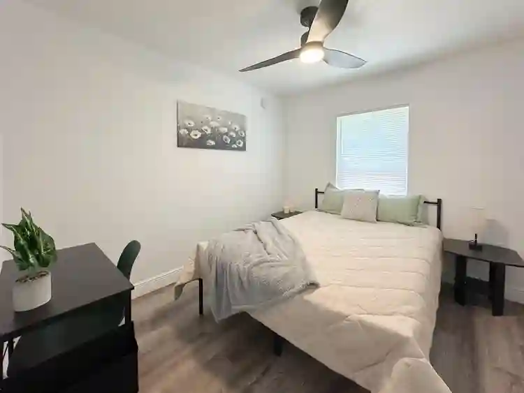 4 BR in Tampa