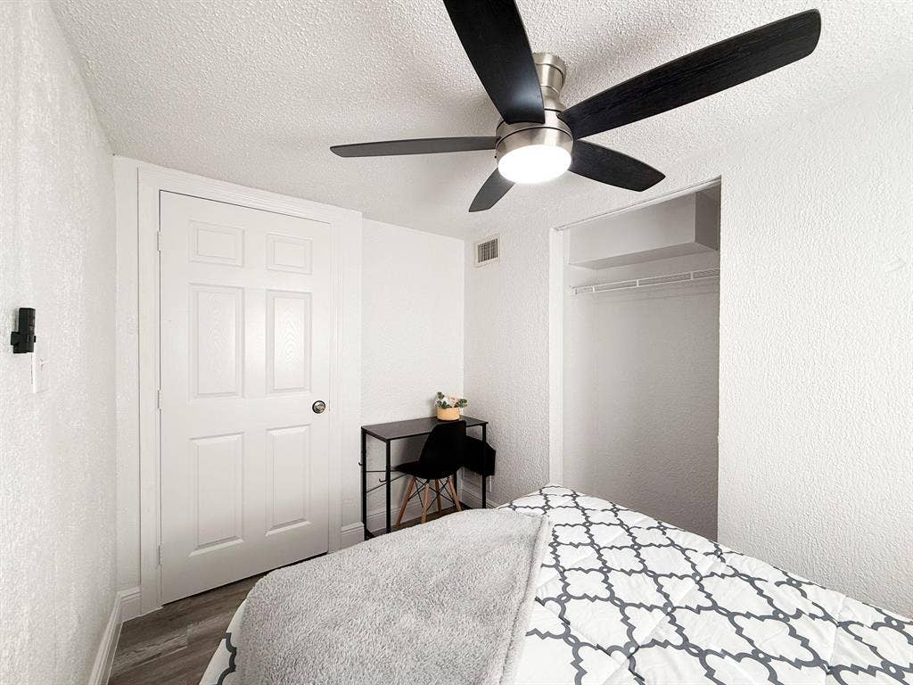 3 BR in Tampa