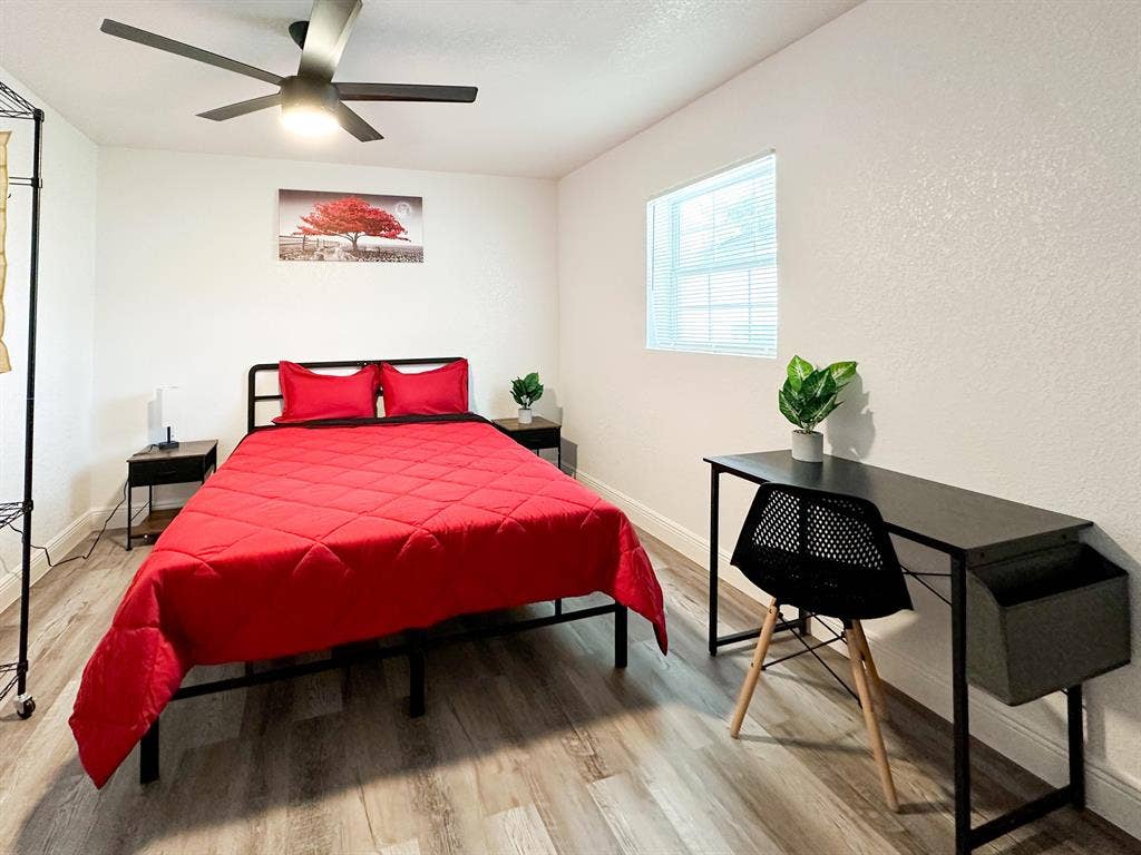 3 BR in Tampa