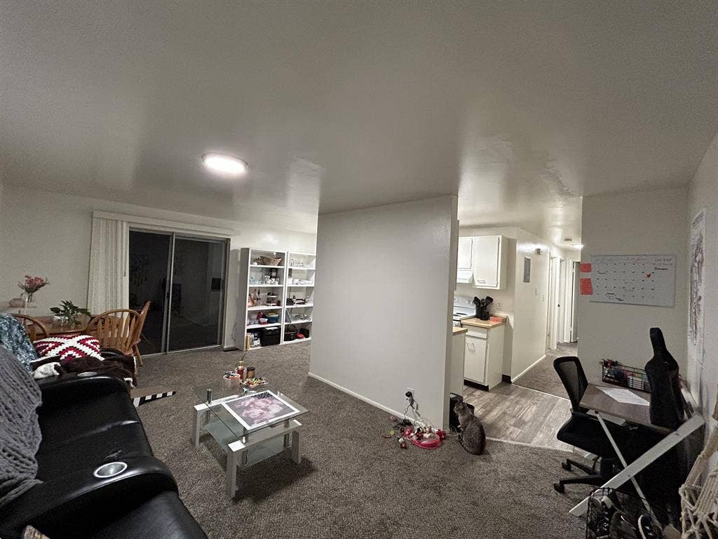 Affordable room close to the U