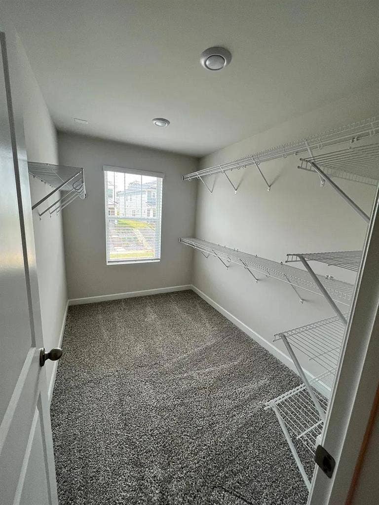 4 BR in Charlotte
