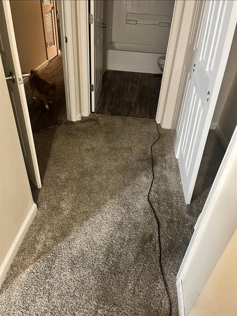 Large bedroom and bathroom