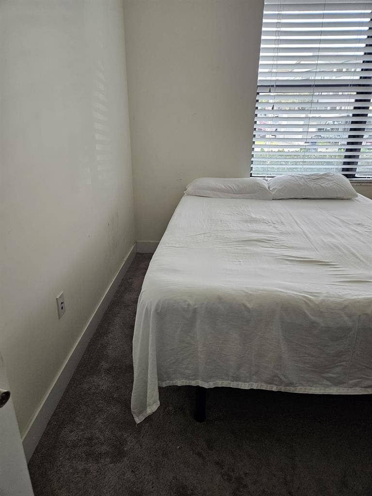 Doral Apex Room For Rent