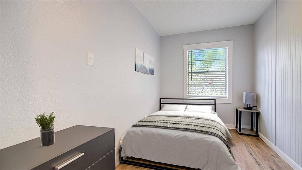 5 BR in Tampa