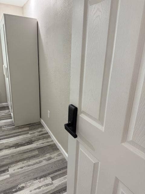 8 BR in Tampa