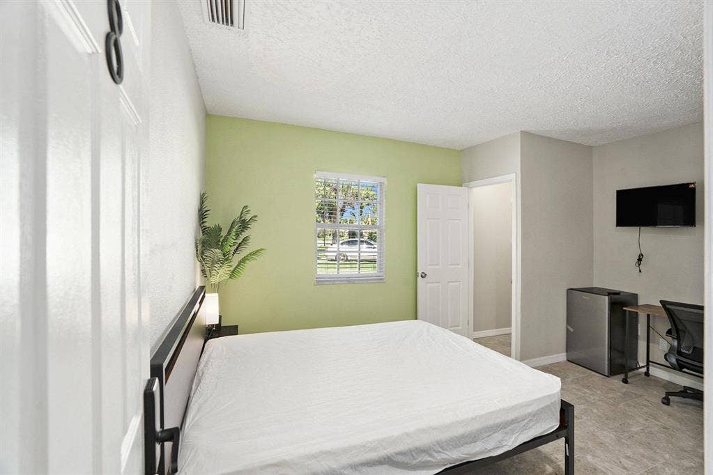 8 BR in New Port Richey