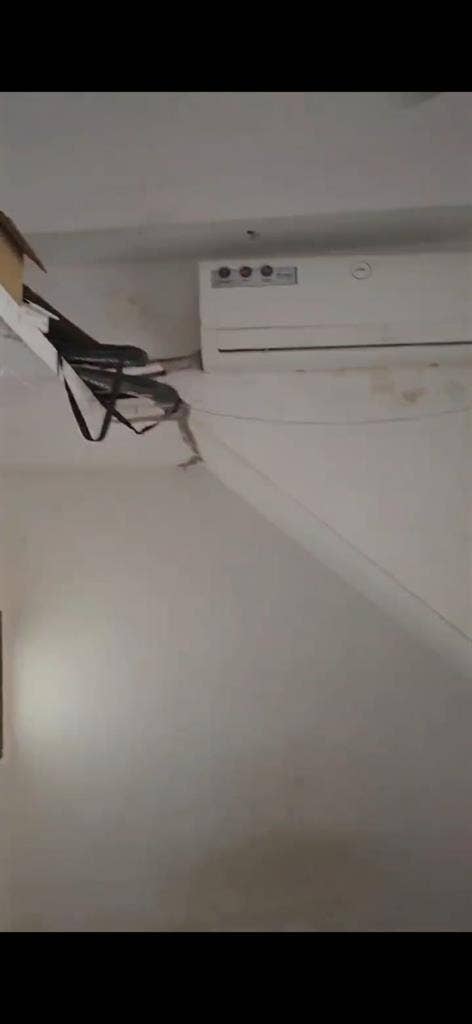 Searching for a roommate