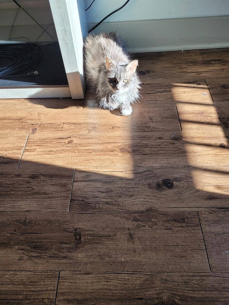 Master Bedroom in Litia