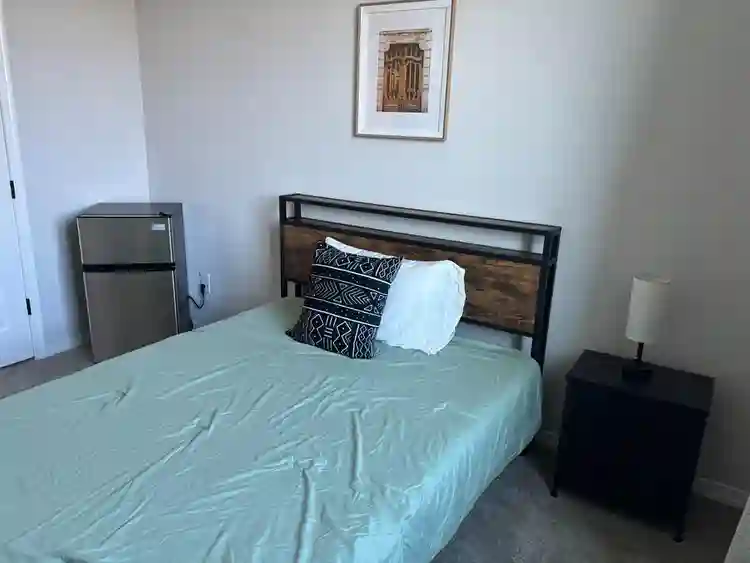 6 BR in Litchfield Park