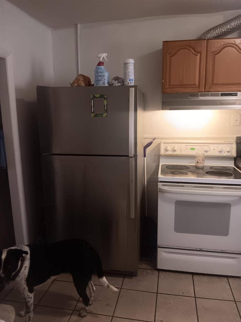 3 BR in Pittsfield