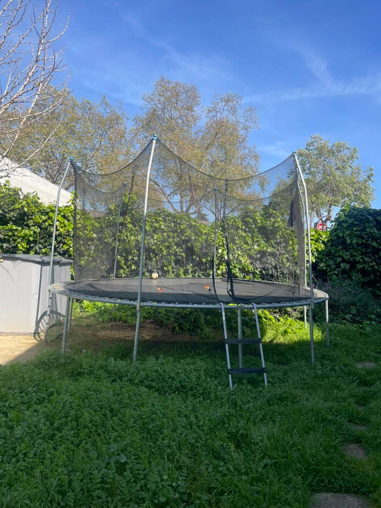 Private room avail West Berkeley!