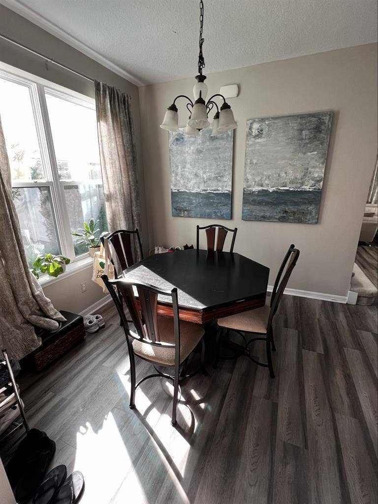 House with 2 roommates - Windermere