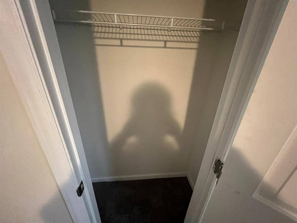 4 BR in Raleigh