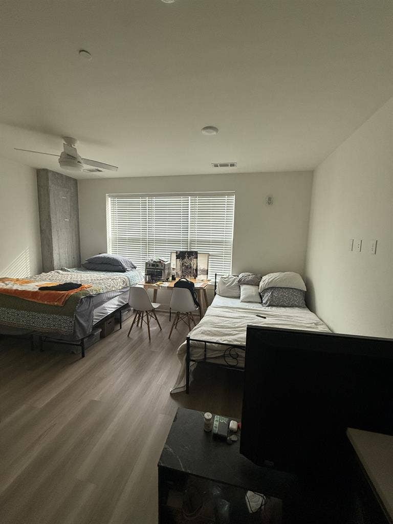 Looking roommate in dt