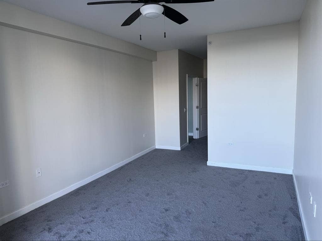 Full amenity Apt in South loop