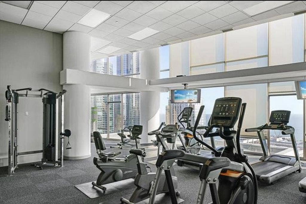 Full amenity Apt in South loop