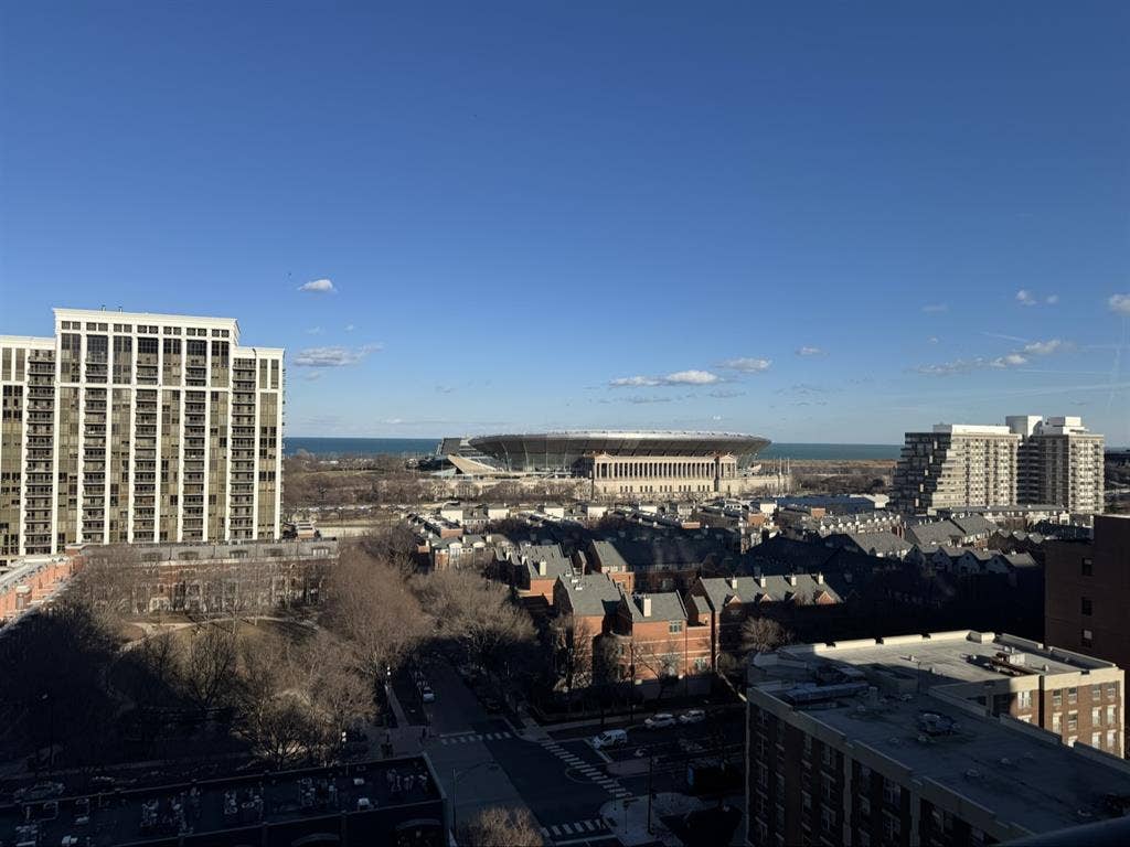 Full amenity Apt in South loop