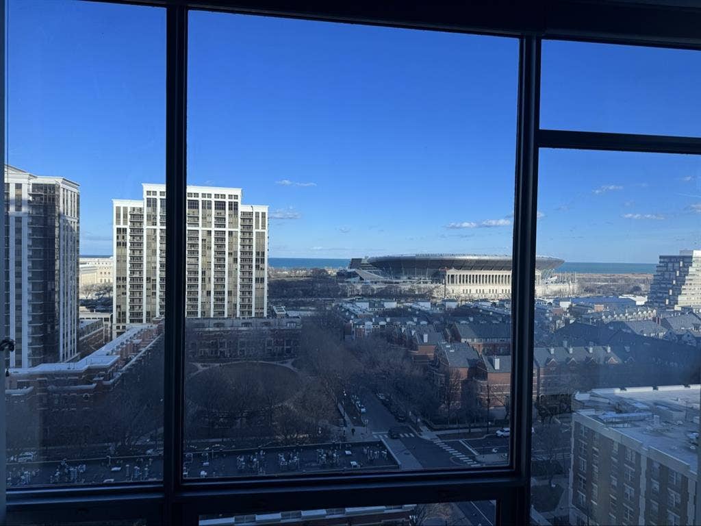 Full amenity Apt in South loop