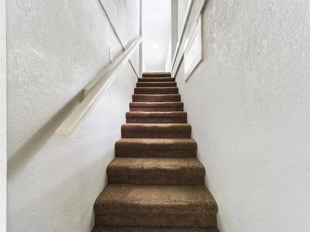 7 BR in Tampa