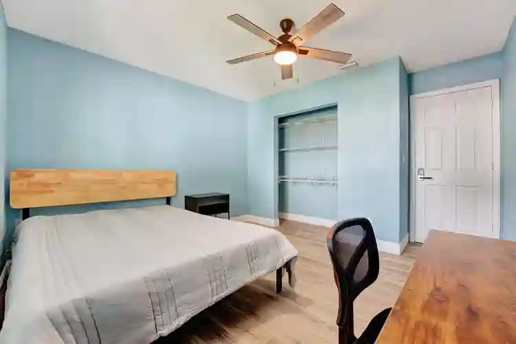 6 BR in Hollywood
