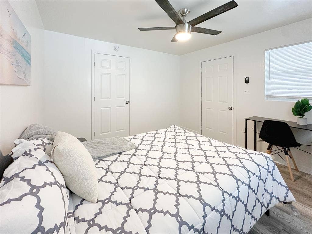 3 BR in Tampa