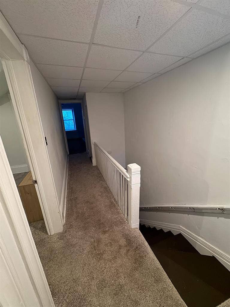 5 BR in Wilkes-Barre