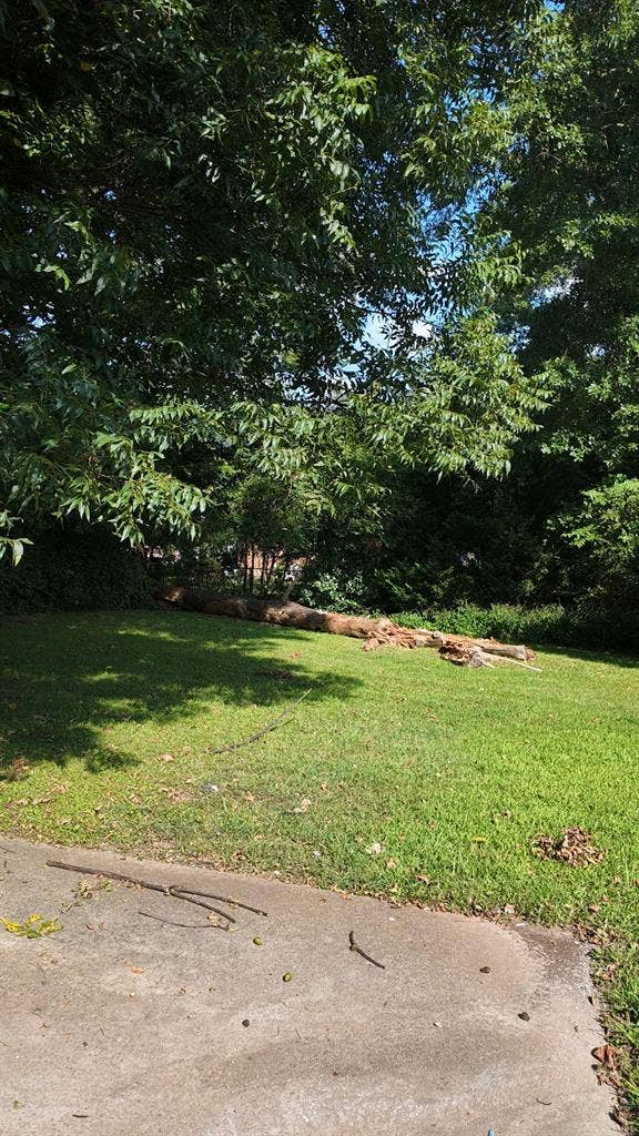 1 BR in Decatur