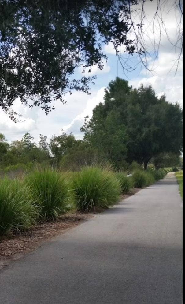 4 BR in Wesley Chapel