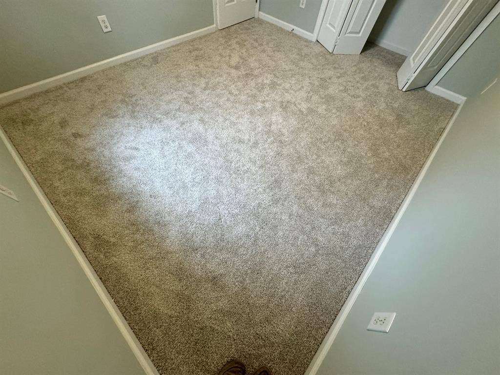 4 BR in Raleigh