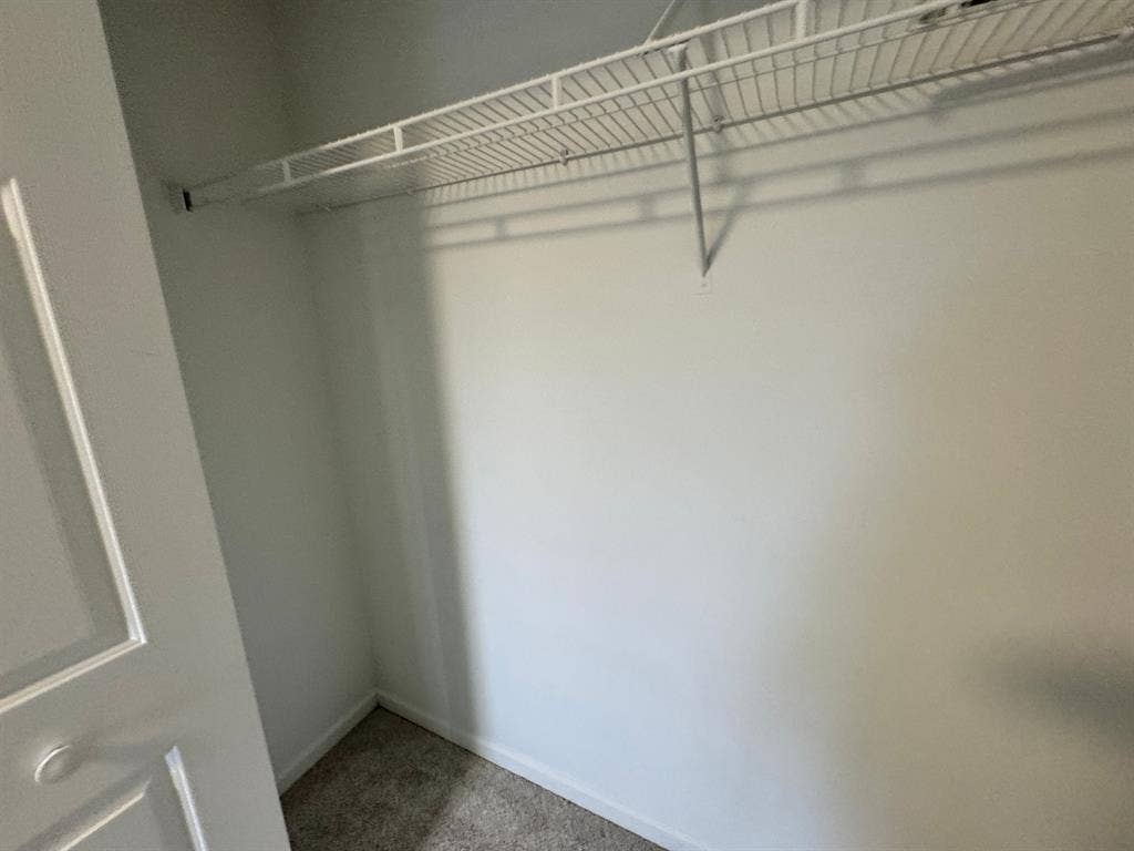 4 BR in Raleigh
