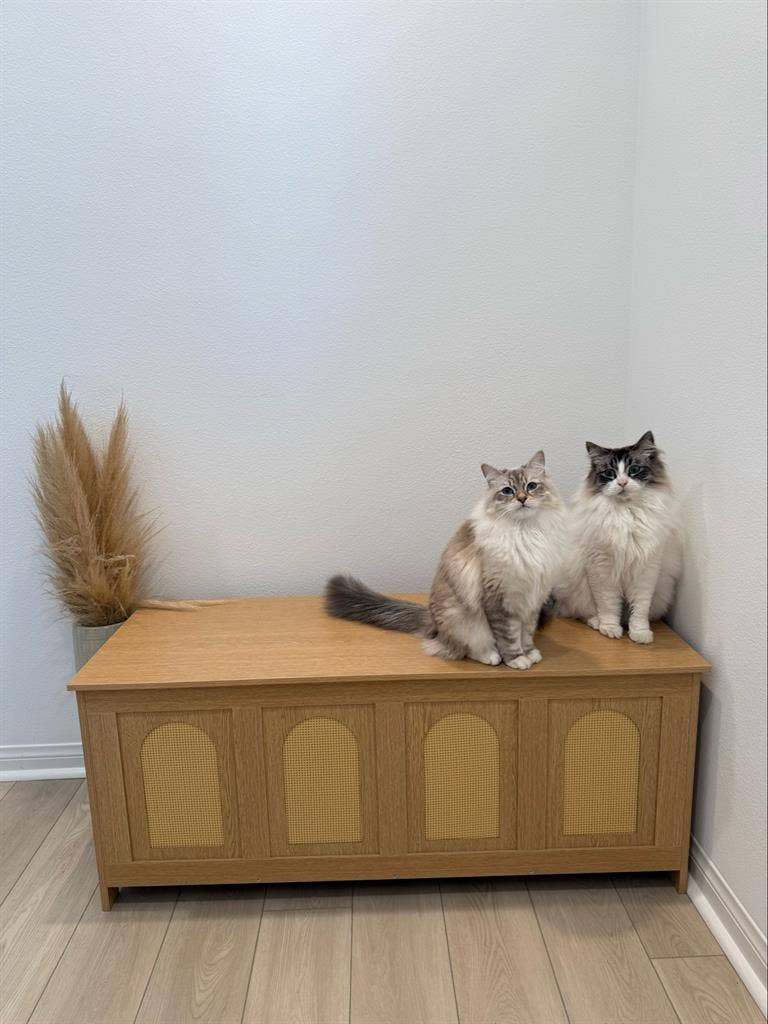 Room for rent in RMV - Female only