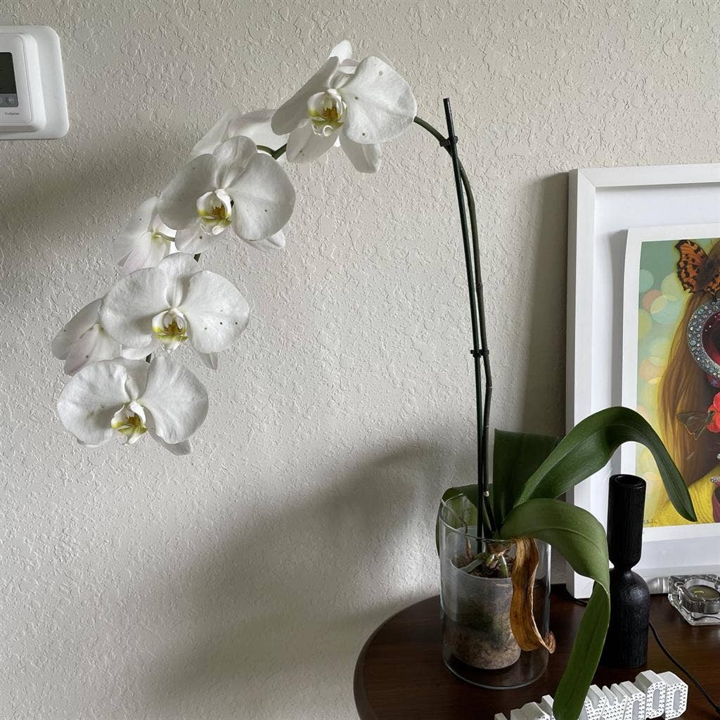 Delray Beach Private Guest Room