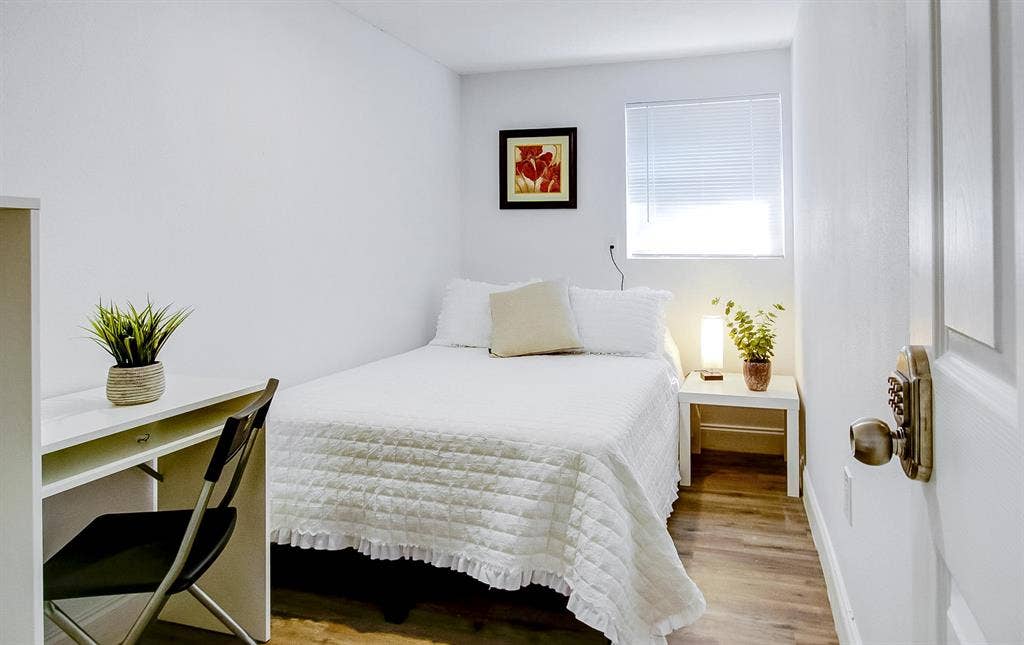 5 BR in Tampa