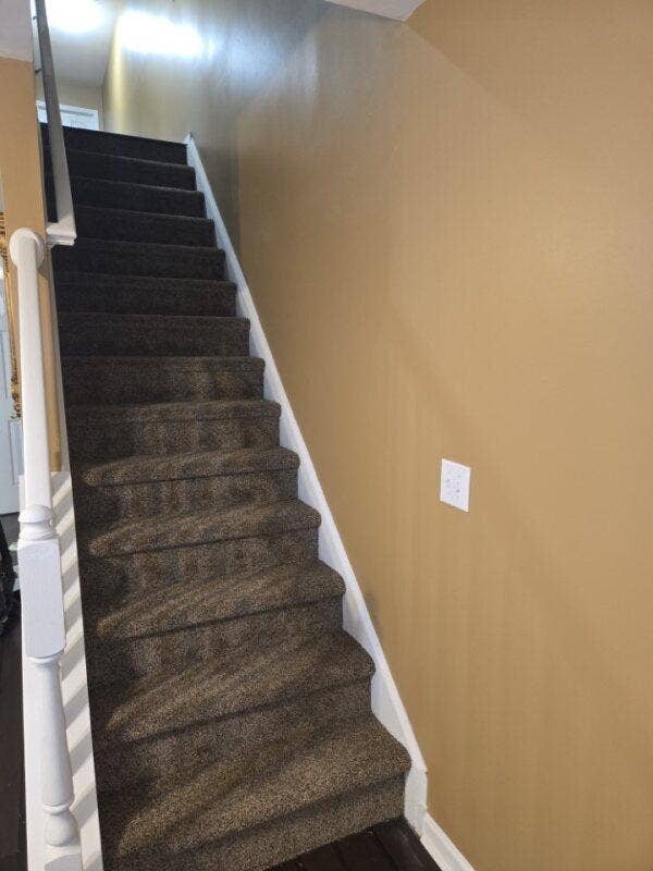 3 BR in Raleigh