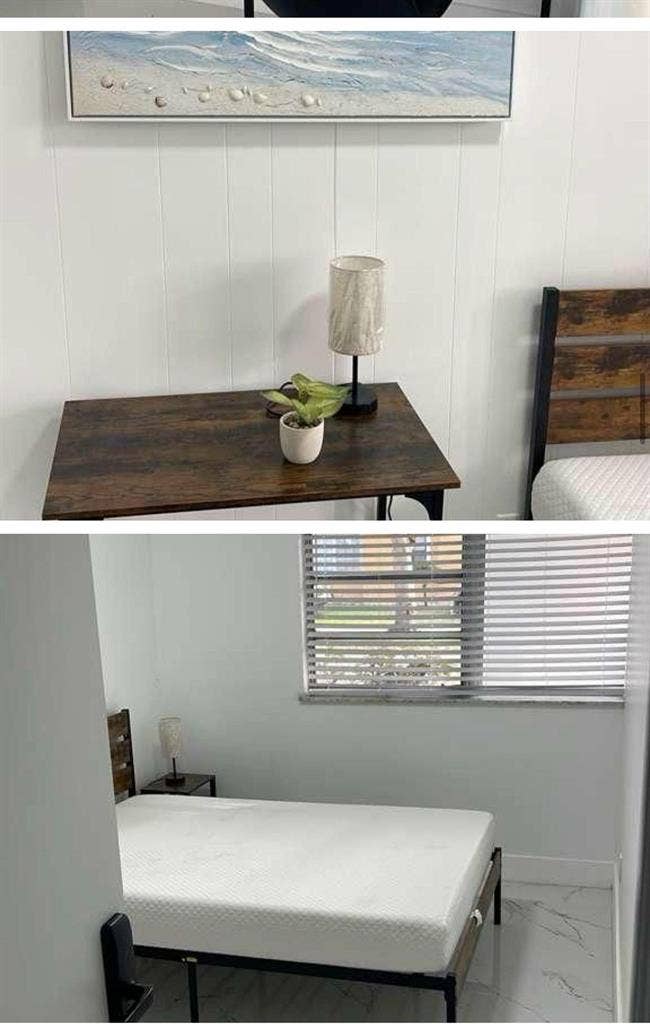 6 BR in Hollywood