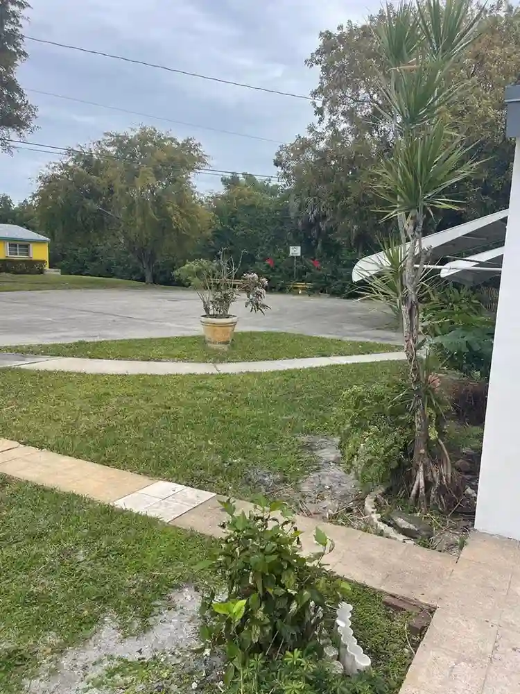 6 BR in Hollywood