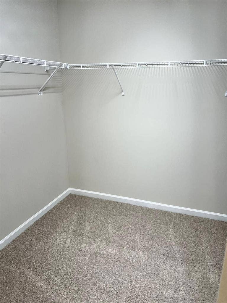 5 BR in Raleigh