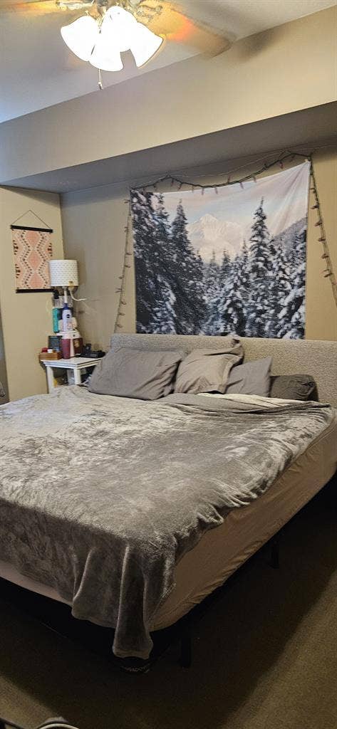 Looking For Roommate