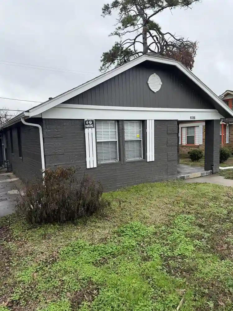1 BR in Houston
